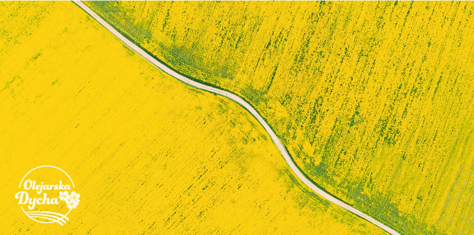 Tłuszcze dobre dla biegacza. A biegamy w Olejarskiej Dysze