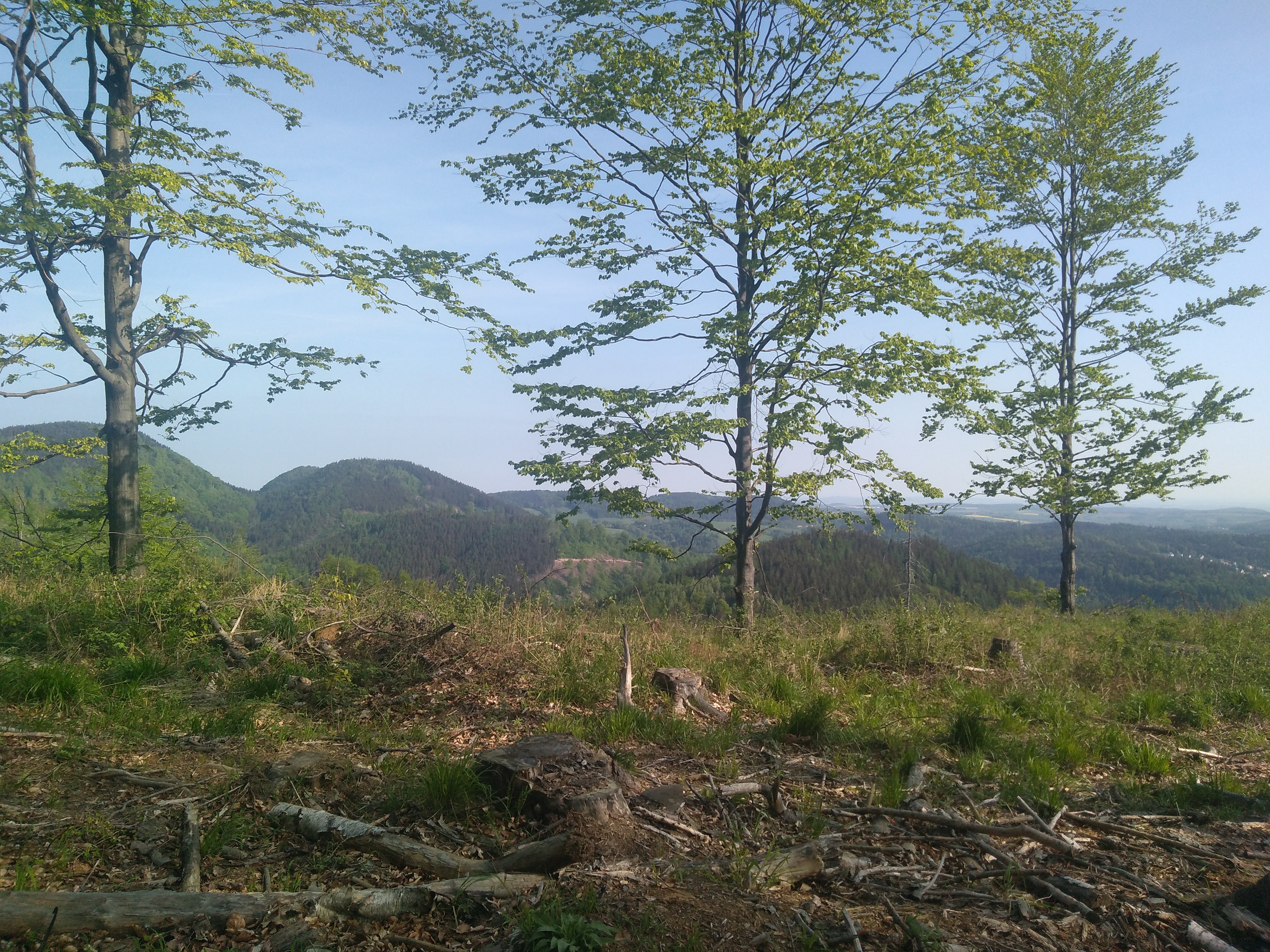 Maciej Konarski o festiwalu biegowym Jedlina Zdrój