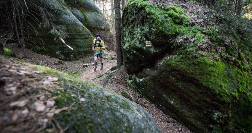 Fot. Kudowski Festiwal Biegowy Fot. Kudowski Festiwal Biegowy