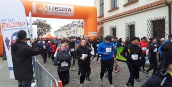 Festiwal w Rzeszowie