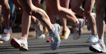 I Biet Rycerski w Świeciu nad Wisłą