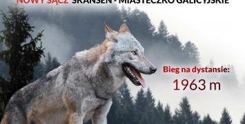 Bieg Tropem Wilczym w Nowym Sączu już 15 sierpnia w Miasteczku Galicyjskim