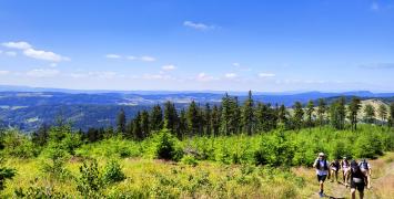 Biegając za sowami w Półmaratonie Sowiogórskim