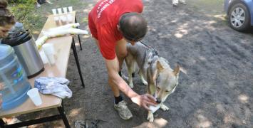 III Panewnicki Dziki Bieg