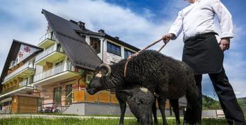 Fot. Czarna Owca Hotel Conference & Spa