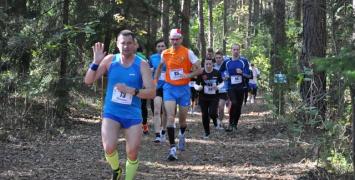 IV Hajnowska Dwunastka