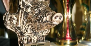 Panewnicki  Bieg Dzika 