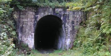 Bieg Górski w Jedlinie-Zdrój