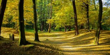 Park Złotnicki we Wrocławiu