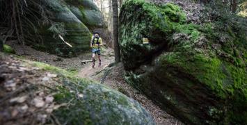 Fot. Kudowski Festiwal Biegowy