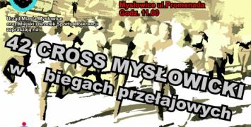 42. Cross Mysłowicki
