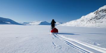 Yucon Artic Ultra. Większość uczestników ciągnie swoje wyposażenie w saniach