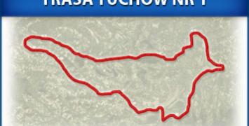 Trasa biegowa w okolicach Tuchowa