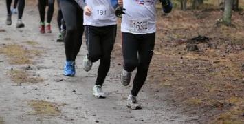 Zimnar w Jelczu-Laskowicach