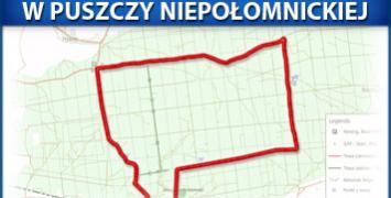 Śladami Żubra w Puszczy Niepołomickiej