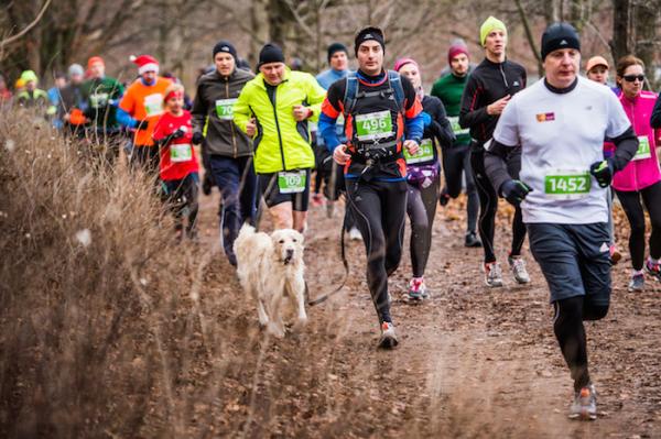 Grand Prix CITY TRAIL w 2015 roku - podsumowanie