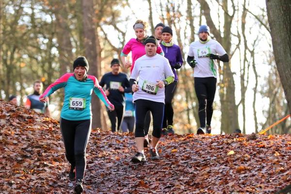 CITY TRAIL w Poznaniu, Bydgoszczy i Szczecinie (19-20.11.2016) CITY TRAIL w Poznaniu, Bydgoszczy i Szczecinie (19-20.11.2016)