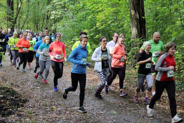 CITY TRAIL we Wrocławiu, Szczecinie i Katowicach (15-16.10.2016)