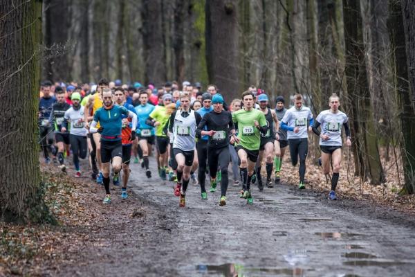 CITY TRAIL we Wrocławiu, Katowicach i Łodzi (18-19.3.2017)