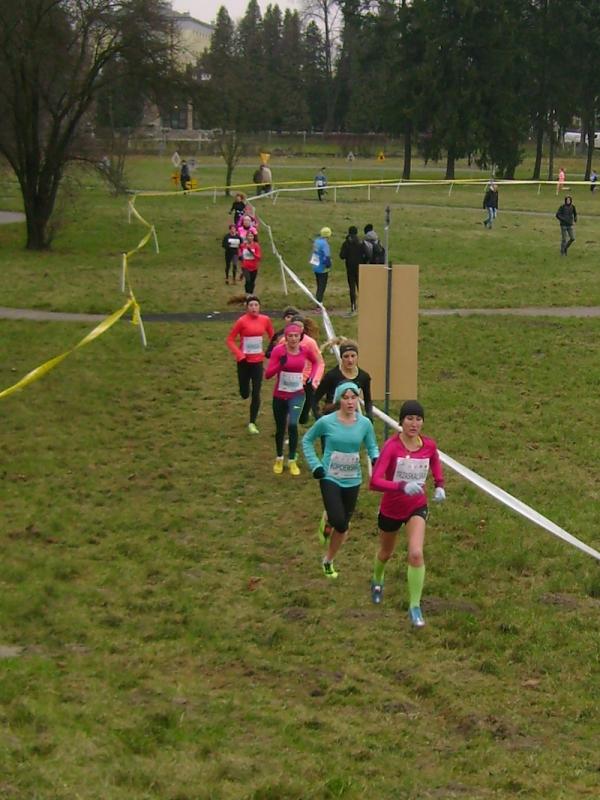 86. MP i MMP w Biegach Przełajowych w Krakowie (29.11.2014)