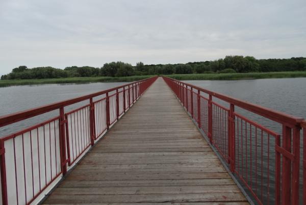 Bieg Trzech Mostów w Kamieniu Pomorskim (19.7.2015)