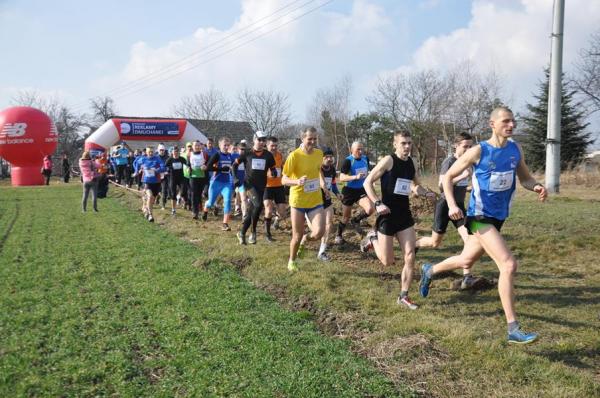 IX Bieg Twardziela w Wodzisławiu Śląskim (23.02.2014) IX Bieg Twardziela w Wodzisławiu Śląskim (23.02.2014)
