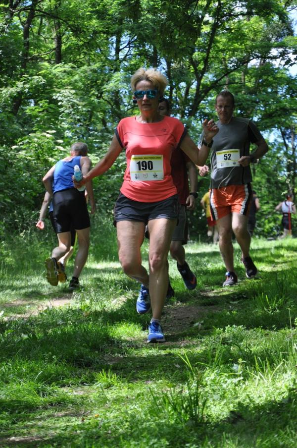 5. Tarnogórski Bieg Przełajowy w Tarnowskich Górach (18.6.2016)