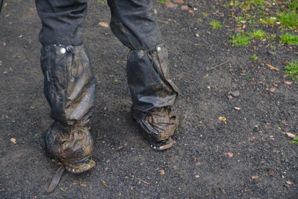 Wulkany 24, Złotoryja (16-17.04.2014)