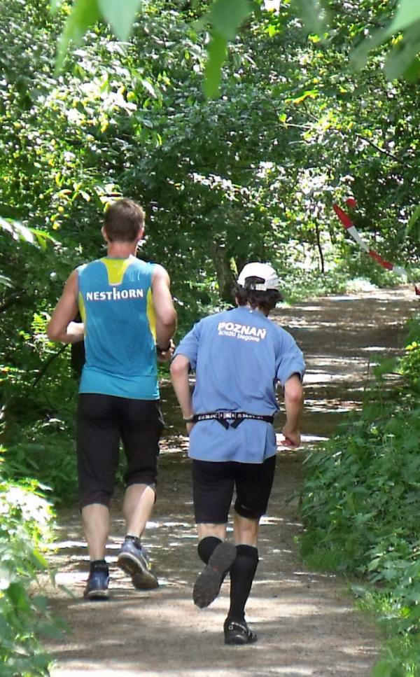 Dziewicza Góra Biega k. Poznania (14.06.2014) Dziewicza Góra Biega k. Poznania (14.06.2014)