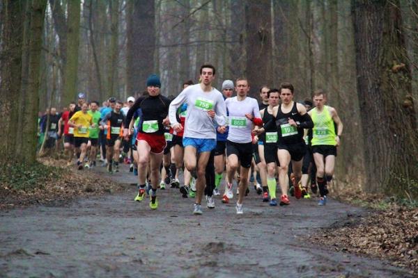 Grand Prix CITY TRAIL we Wrocławiu i Katowicach (28-29.3.2015)