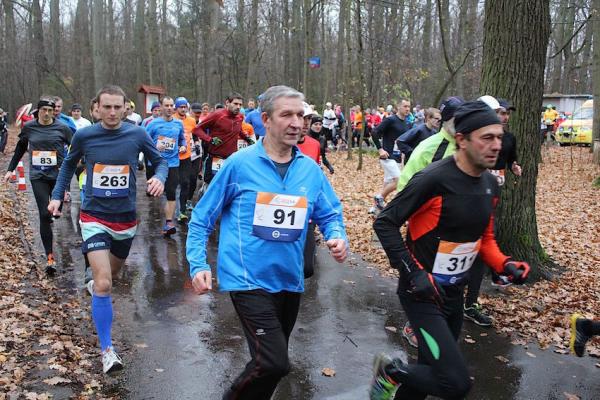 Puchar DOZ Maratonu Łódzkiego z PZU - 5 km (15.11.2015)