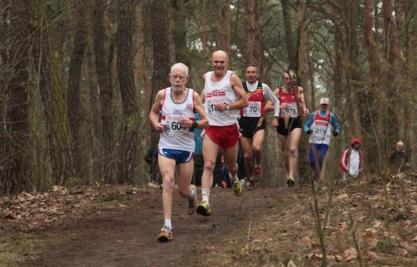 Halowe Mistrzostwa Europy Weteranów w Toruniu (23-28.3.2015)