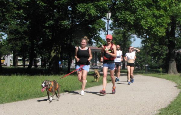 parkrun i psy w Łodzi (4.7.2015) parkrun i psy w Łodzi (4.7.2015)