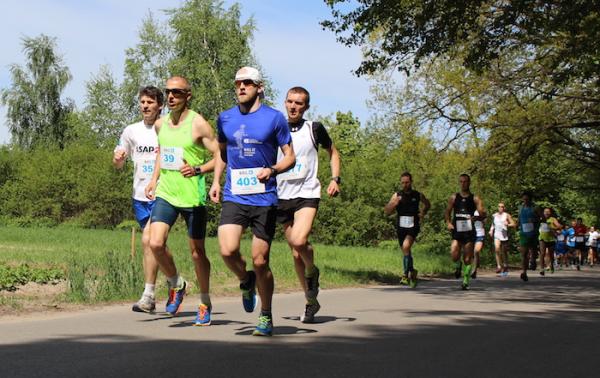 Bieg IT w Warszawie - Powsinie (16.5.2015)