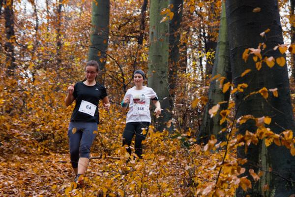 Grand Prix Krakowa w Biegach Górskich - bieg 2 (8.11.2014)