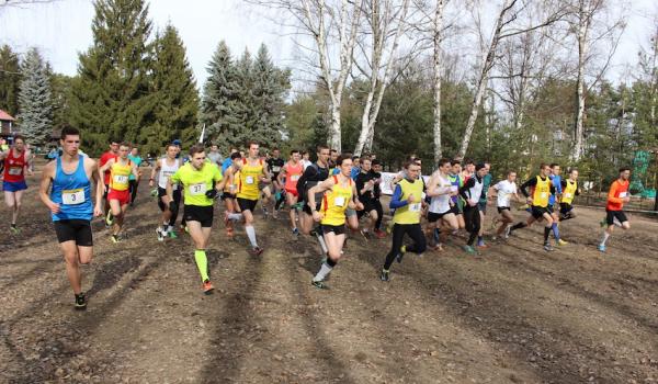 Memoriał Tomasza Hopfera w Warszawie (4.3.2017) Memoriał Tomasza Hopfera w Warszawie (4.3.2017)