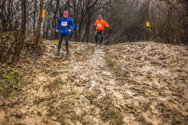 Grand Prix Krakowa w Biegach Górskich - bieg 4 (10.1.2015)