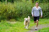Co zabrać na bieganie z psem? 