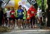 CITY TRAIL we Wrocławiu i Katowicach (10-11.10.2015)